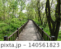 Wooden deck walkway path through green forest park 140561823