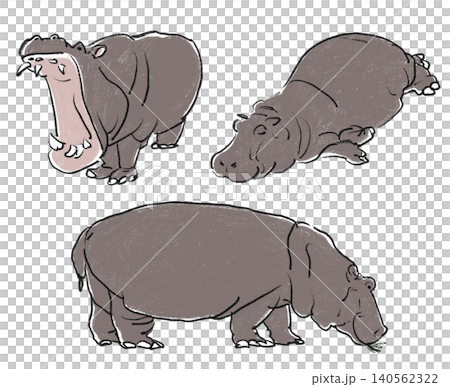 Hand-drawn style hippo illustration set of 3 Hand-drawn style hippo illustration set of 3 140562322