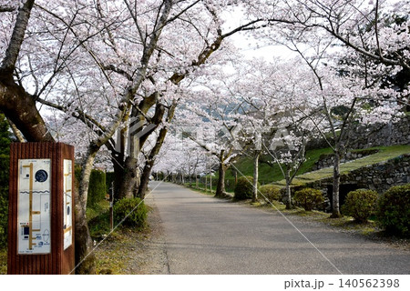 福岡県朝倉市 秋月杉の馬場(秋月城跡)と瓦坂と満開桜 福岡県朝倉市 秋月杉の馬場(秋月城跡)と瓦坂と満開桜 140562398