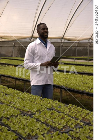 Mid adult african american man wearing lab coat inspecting seedling trays in greenhouse by tablet Mid adult african american man wearing lab coat inspecting seedling trays in greenhouse by tablet 140562467