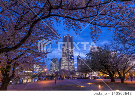 みなとみらいの夜景と汽車道の夜桜の風景 140563648