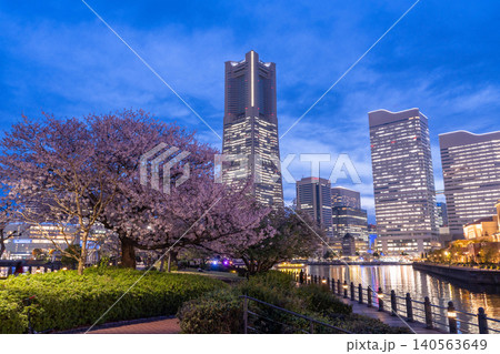 みなとみらいの夜景と汽車道の夜桜の風景 みなとみらいの夜景と汽車道の夜桜の風景 140563649