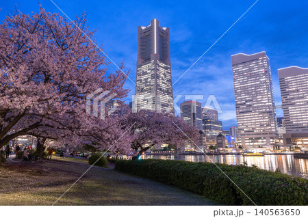 みなとみらいの夜景と汽車道の夜桜の風景 みなとみらいの夜景と汽車道の夜桜の風景 140563650