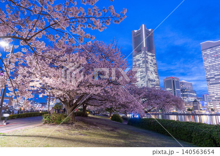 みなとみらいの夜景と汽車道の夜桜の風景 みなとみらいの夜景と汽車道の夜桜の風景 140563654