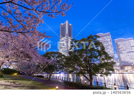 みなとみらいの夜景と汽車道の夜桜の風景 みなとみらいの夜景と汽車道の夜桜の風景 140563656