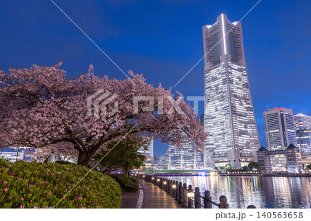 みなとみらいの夜景と汽車道の夜桜の風景 みなとみらいの夜景と汽車道の夜桜の風景 140563658