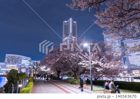 みなとみらいの夜景と汽車道の夜桜の風景 みなとみらいの夜景と汽車道の夜桜の風景 140563670