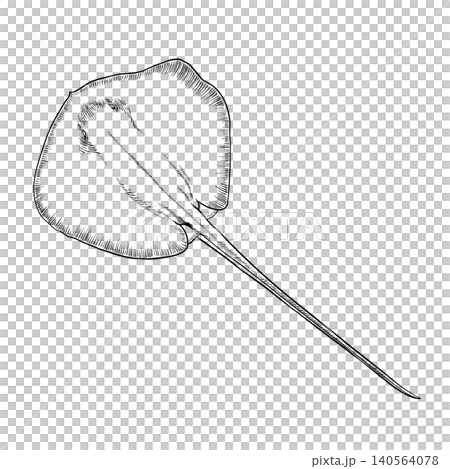 Stingray Line Art Illustration Vintage Engraving Style Stingray Line Art Illustration Vintage Engraving Style 140564078