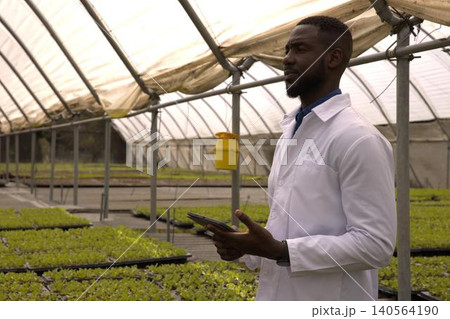 African american man inspecting seedling trays with tablet by sticky trap in greenhouse African american man inspecting seedling trays with tablet by sticky trap in greenhouse 140564190