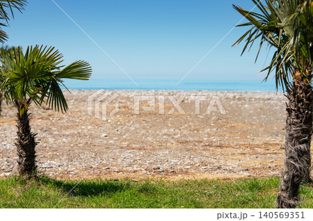 Palm trees on sunny beach with calm sea and clear blue sky 140569351