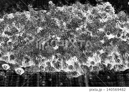 大輪に咲く花火 大輪に咲く花火 140569482