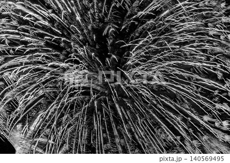大輪に咲く花火 大輪に咲く花火 140569495