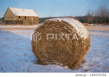 A Snow Dusted Round Hay Bales in Winter Field A Snow Dusted Round Hay Bales in Winter Field 140570356