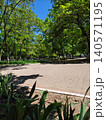 Urban Park with Trees and Walking Paths in City 140571195