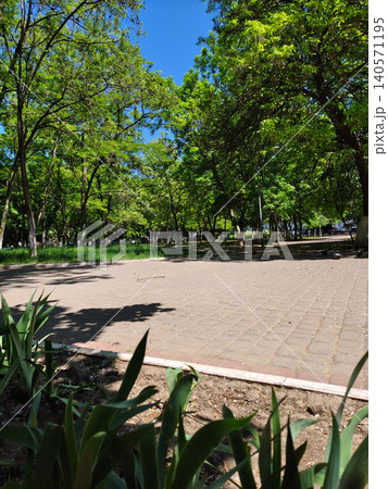 Urban Park with Trees and Walking Paths in City 140571195