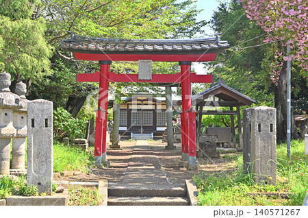 岩槻散歩:第六天神社 馬込の第六天神社 朱鳥居 岩槻散歩:第六天神社 馬込の第六天神社 朱鳥居 140571267