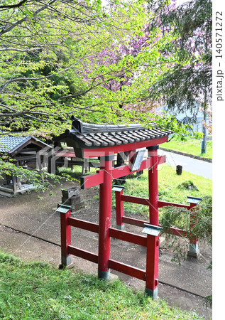 岩槻散歩:第六天神社 馬込の第六天神社 朱鳥居 岩槻散歩:第六天神社 馬込の第六天神社 朱鳥居 140571272