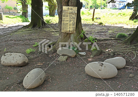 岩槻散歩:第六天神社 馬込の第六天神社 境内の力石 岩槻散歩:第六天神社 馬込の第六天神社 境内の力石 140571280