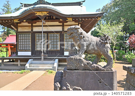 岩槻散歩:第六天神社 馬込の第六天神社 拝殿 狛犬 岩槻散歩:第六天神社 馬込の第六天神社 拝殿 狛犬 140571283
