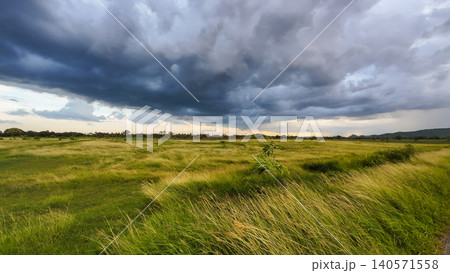 Agricultural Field, Atmospheric Mood, Banyuwangi, Beauty, Beauty In Nature 140571558