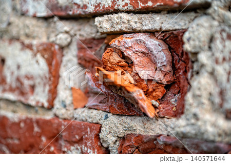 Brick wall with peeling paint showing texture and structure in urban environment Brick wall with peeling paint showing texture and structure in urban environment 140571644