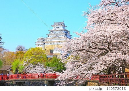 兵庫県姫路市、満開の桜と姫路城の風景 兵庫県姫路市、満開の桜と姫路城の風景 140572018