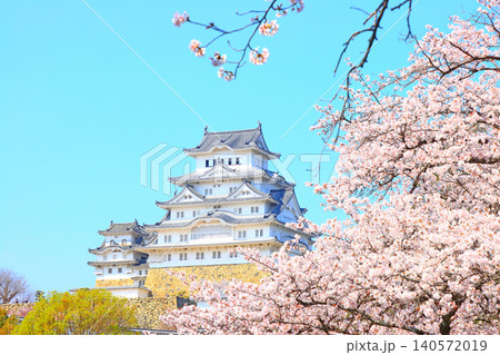 兵庫県姫路市、満開の桜と姫路城の風景 140572019