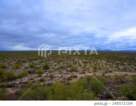 Old Saguaro Cactus Sonora desert Arizona Old Saguaro Cactus Sonora desert Arizona 140572104