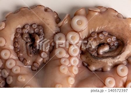 Raw octopus tentacles featuring visible suckers, illustrating the intricate texture and appearance of fresh cephalopod seafood for cooking or biological study Raw octopus tentacles featuring visible suckers, illustrating the intricate texture and appearance of fresh cephalopod seafood for cooking or biological study 140572397