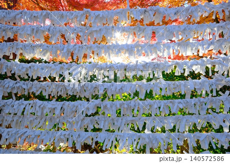 結ばれたおみくじと紅葉の秋イメージ素材 結ばれたおみくじと紅葉の秋イメージ素材 140572586