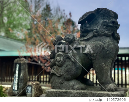 札幌護国神社 狛犬 札幌市中央区 曇り 札幌護国神社 狛犬 札幌市中央区 曇り 140572606