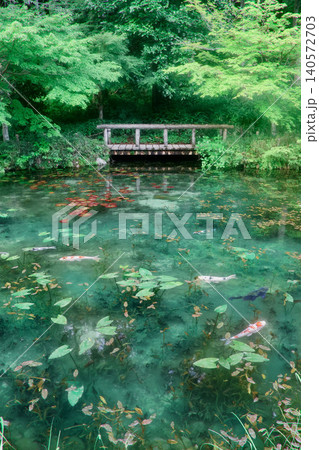 モネの池・絵画のような風景(岐阜県・関市) モネの池・絵画のような風景(岐阜県・関市) 140572703