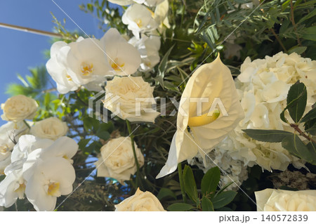 Abundant White Floral Arrangement with Orchids Anthurium and Hydrangea Abundant White Floral Arrangement with Orchids Anthurium and Hydrangea 140572839