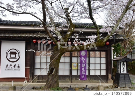 福岡県朝倉市 秋月杉の馬場(秋月城跡)の満開桜と黒門茶屋 福岡県朝倉市 秋月杉の馬場(秋月城跡)の満開桜と黒門茶屋 140572899