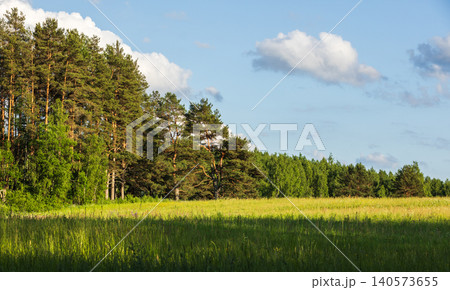 Sunlit mixed forest edges a wide green meadow Sunlit mixed forest edges a wide green meadow 140573655