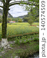 Rapeseed field in a mountain valley in the Yellow Dragon Park near the city of Zhangjiajie, China 140574509