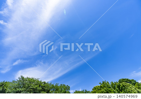 初夏の青空と雲と樹木 初夏の青空と雲と樹木 140574969