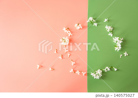 Pastel spring background with scattered lilac blossoms Pastel spring background with scattered lilac blossoms 140575027