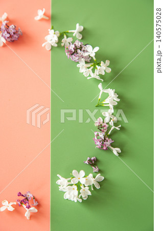 Elegant floral background with fresh spring flowers Elegant floral background with fresh spring flowers 140575028