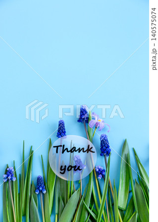 elegant flat lay of blue flowers with natural light and copy space elegant flat lay of blue flowers with natural light and copy space 140575074