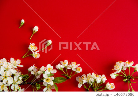 airy spring flowers composition with white blossoms on red airy spring flowers composition with white blossoms on red 140575086