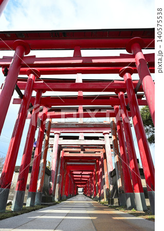 御幣稲荷神社の連なる鳥居と参道(新潟県新潟市西区) 御幣稲荷神社の連なる鳥居と参道(新潟県新潟市西区) 140575538