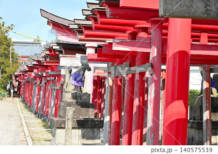 御幣稲荷神社の連なる鳥居と参道（新潟県新潟市西区） 140575539
