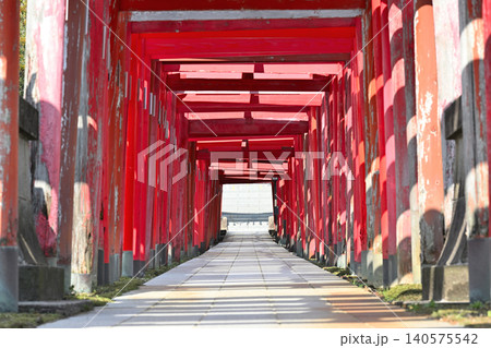 御幣稲荷神社の連なる鳥居と参道(新潟県新潟市西区) 御幣稲荷神社の連なる鳥居と参道(新潟県新潟市西区) 140575542