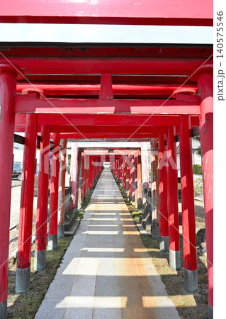 御幣稲荷神社の連なる鳥居と参道(新潟県新潟市西区) 御幣稲荷神社の連なる鳥居と参道(新潟県新潟市西区) 140575546