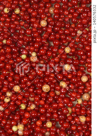 Fresh red and white currants background texture Fresh red and white currants background texture 140576332
