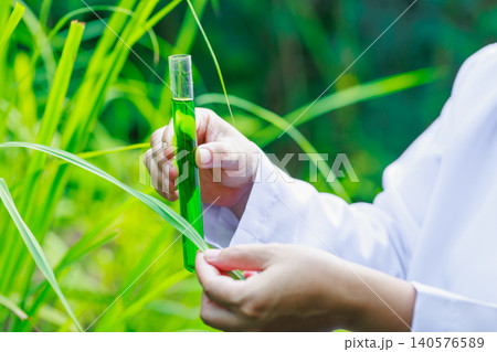 Hands holding a test tube with green liquid while examining plants in a garden, suggesting botanical research, agriculture, and environmental study 140576589