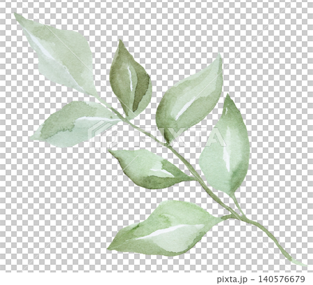 Hand drawn watercolor twig with green leaves, botanical greenery isolated illustration, single element Hand drawn watercolor twig with green leaves, botanical greenery isolated illustration, single element 140576679