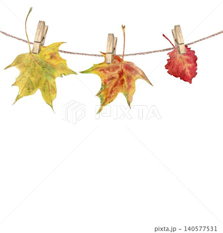 A hand-painted watercolor composition of autumn red and yellow maple and aspen leaves, hung on clothespins from a rope against an isolated background. Simple clip art for design with space for text A hand-painted watercolor composition of autumn red and yellow maple and aspen leaves, hung on clothespins from a rope against an isolated background. Simple clip art for design with space for text 140577531