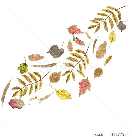 A square composition featuring a swirl of autumn leaves in red, yellow, beige, and orange, hand-painted in watercolor on an isolated background. Simple botanical clip art for design A square composition featuring a swirl of autumn leaves in red, yellow, beige, and orange, hand-painted in watercolor on an isolated background. Simple botanical clip art for design 140577535